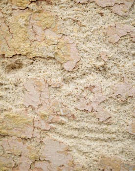 Etua Fi Kokemuksia: Kokemuksia Ja Arvioita Lainapalveluista Ja Vertailuista