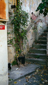 Paras Paras Paras:Paras Pikavippi Ja Pikalaina 2026