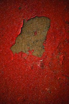 Vippi 50 Euroa: Oppaassa Parhaat Lainavaihtoehdot Ja Hakeminen