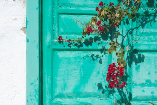 Lainojen Uusinta: Oppia Laina-aikojen Pidentämiseen Ja Varausjärjestelmän Hyödyntämiseen