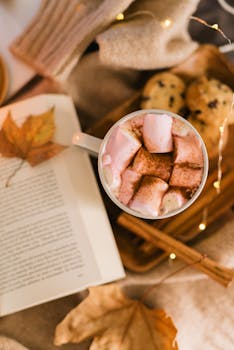 Edullinen Venelaina: Opas Järkevän Veneostoksen Tekemiseen Edullisin Ehdoin