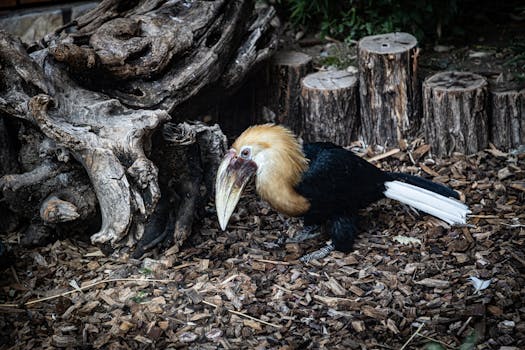 Casino Pelit Ilmaiseksi: Parhaat Vinkit Ja Vinkit Pelaamiseen