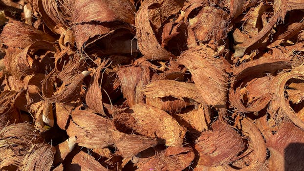 AXA Lainan Takaisinmaksuturva Ehdot Ja Edut: Opas Lainaturvan Kattavuudesta Ja Vaatimuksista