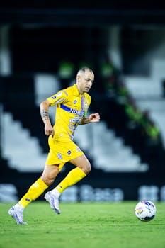 Pikavippi 800e: Kattava Opas Pikavippien Hakemiseen Ja Käyttöön