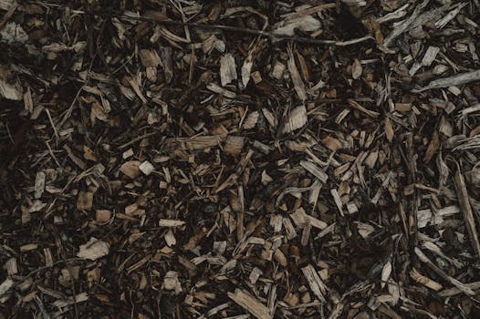 5000 Euron Laina: Vertailu, Hakeminen Ja Ehdot