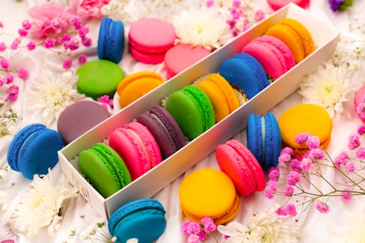 Video Poker Star -opas Suosittu Online-peli Ja Strategiat