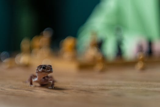 Seat Ladattava Hybridi: Automaattien Ja Kasinotehosten Kehittyminen