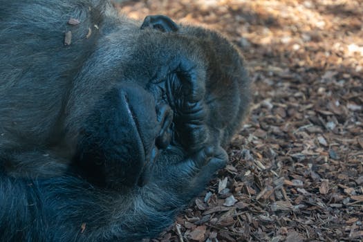 Casinohuone Bonus: Parhaat Tarjoukset Ja Peliehdotukset Suomalaisille Pelaajille