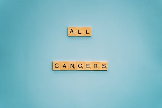 Parhaat Kasino 2026 - Suositus Turvallisista Ja Monipuolisista Nettikasinoista Suomessa