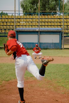 Asp Maksimi Talletus: Täydet Ohjeet Ja Tärkeimmät Tiedot