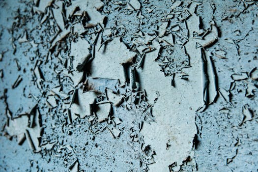 Kasino Warkop: Suositut Online Peliautomatit Ja Kasinopelejä Finlandissa