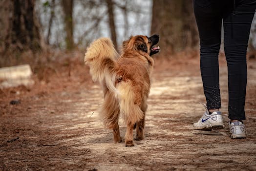 Laina 1000 €: Helpoimmat Keinot Saada Pikavippi Suomessa