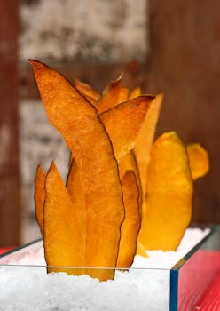 Paras Paras Luottokortti - Vertailu Ja Vinkit