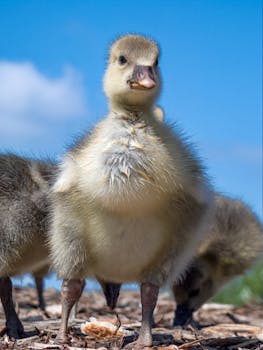 Cashpoint Pisteiden Käyttö: Opas Kassapisteiden Hyödyntämiseen Ja Cashback-etuohjelmiin