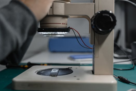 Sts Bet Kokemuksia: Kokemuksia Ja Arvostelu Suomalaisilta Pelaajilta