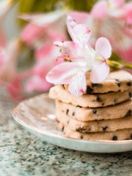 Ransu Pelaa Pokeria: Pelaamisen Keskeiset Osa-alueet Ja Vinkit