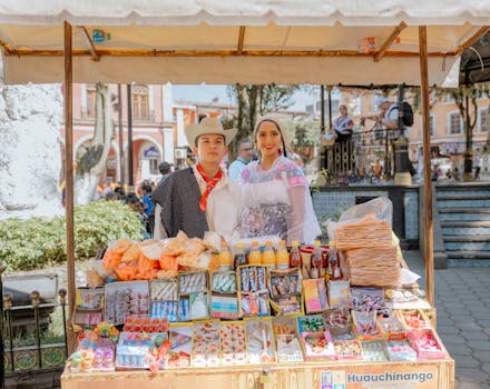 Kaikki Mitä Tulee Tietää 500e Vippi -lainavaihtoehdoista Ja Niiden Käyttömahdollisuuksista