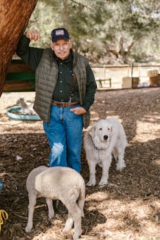 Pelitilin Vahvistaminen Mr Green -opas: Vahvista Pelitilisi Suomen Nettikasinoilla