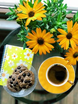 Op Lähimaksu Debit Vai Credit: Erot Ja Valintaperusteet