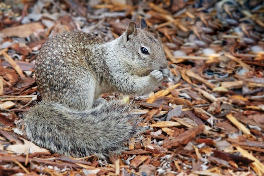 Ilmaista Rahaa Casinolle: Parhaat Vihjeet Ja Tarjoukset 2026