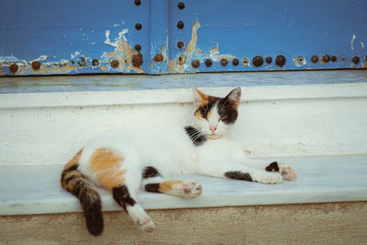 Yrittäjä Lainaa: Rahoitusvaihtoehdot Ja Hakuprosessit Yritykselle