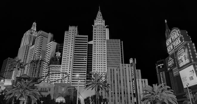 Lainojen Uusinta: Oppia Laina-aikojen Pidentämiseen Ja Varausjärjestelmän Hyödyntämiseen